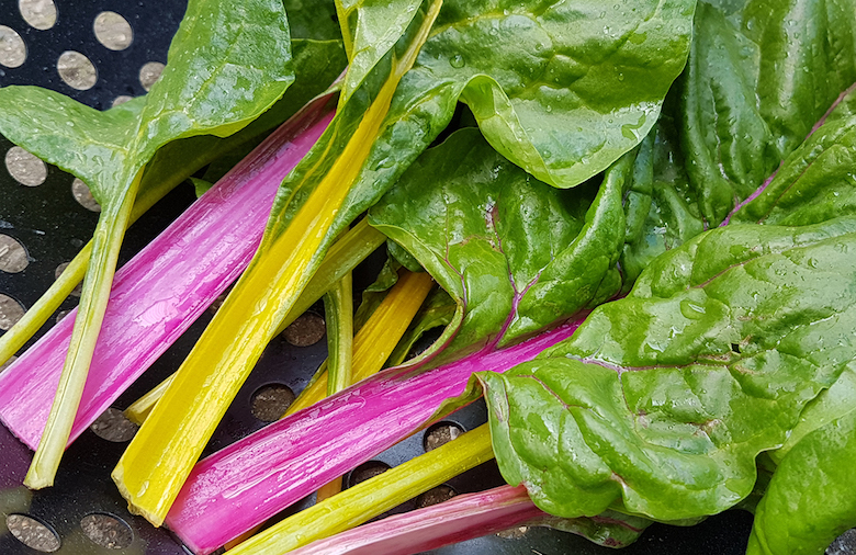 Grow Your Own Colourful Salads Thompson & Blog