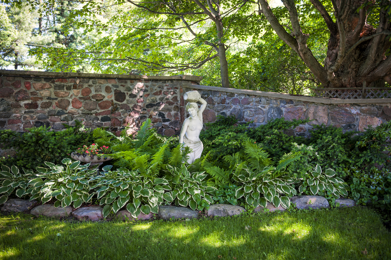 Best plants for shady gardens Thompson & Blog