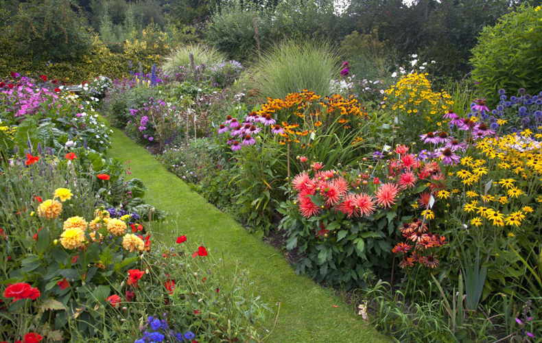 Jobs to do in the garden in July | Thompson & Morgan Blog