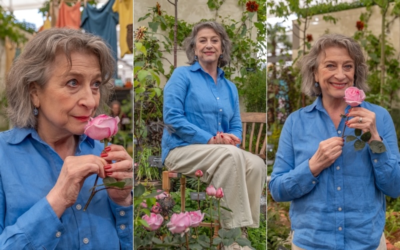 Rose Caroline Quentin Launch At RHS Chelsea Flower Show 2026 rose-caroline-quentin-launch-at-rhs-chelsea-flower-show-2026